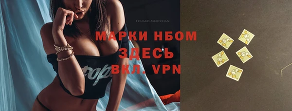 шишки Нея