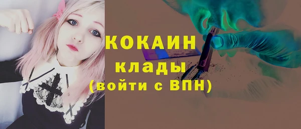 шишки Нея