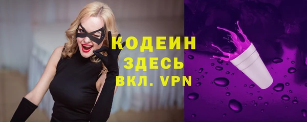 шишки Нея