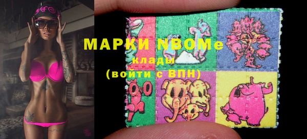 шишки Нея