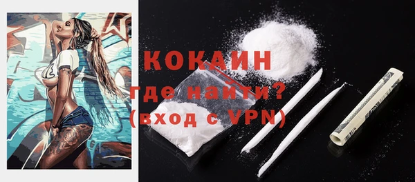 шишки Нея